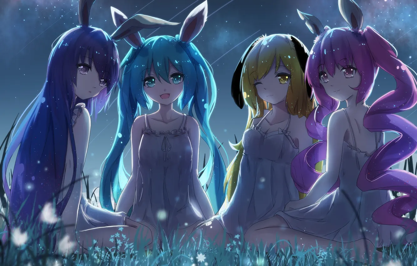 Photo wallpaper the sky, grass, girl, stars, night, nature, anime, art