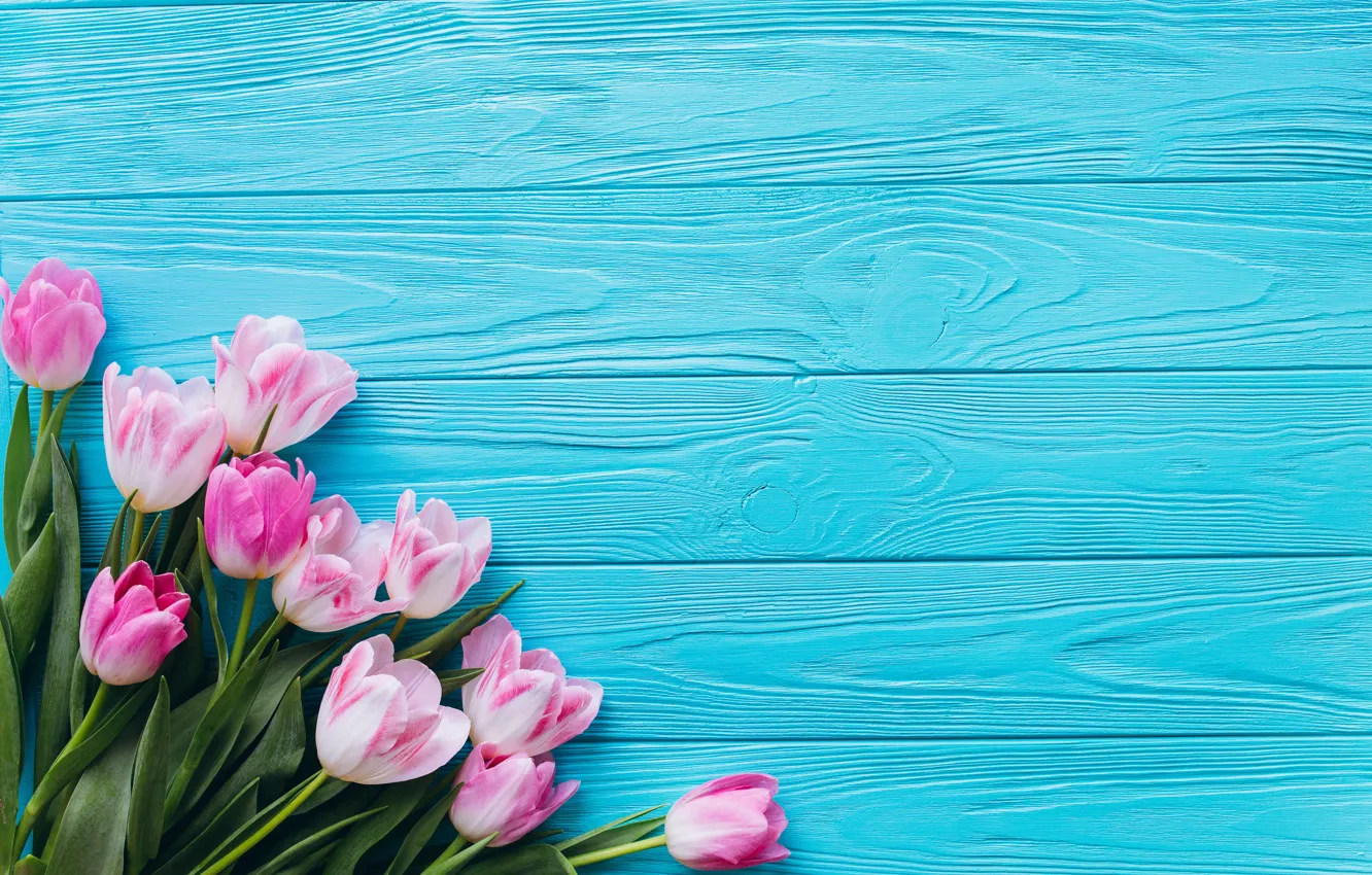 Photo wallpaper flowers, tulips, pink, fresh, wood, pink, flowers, beautiful