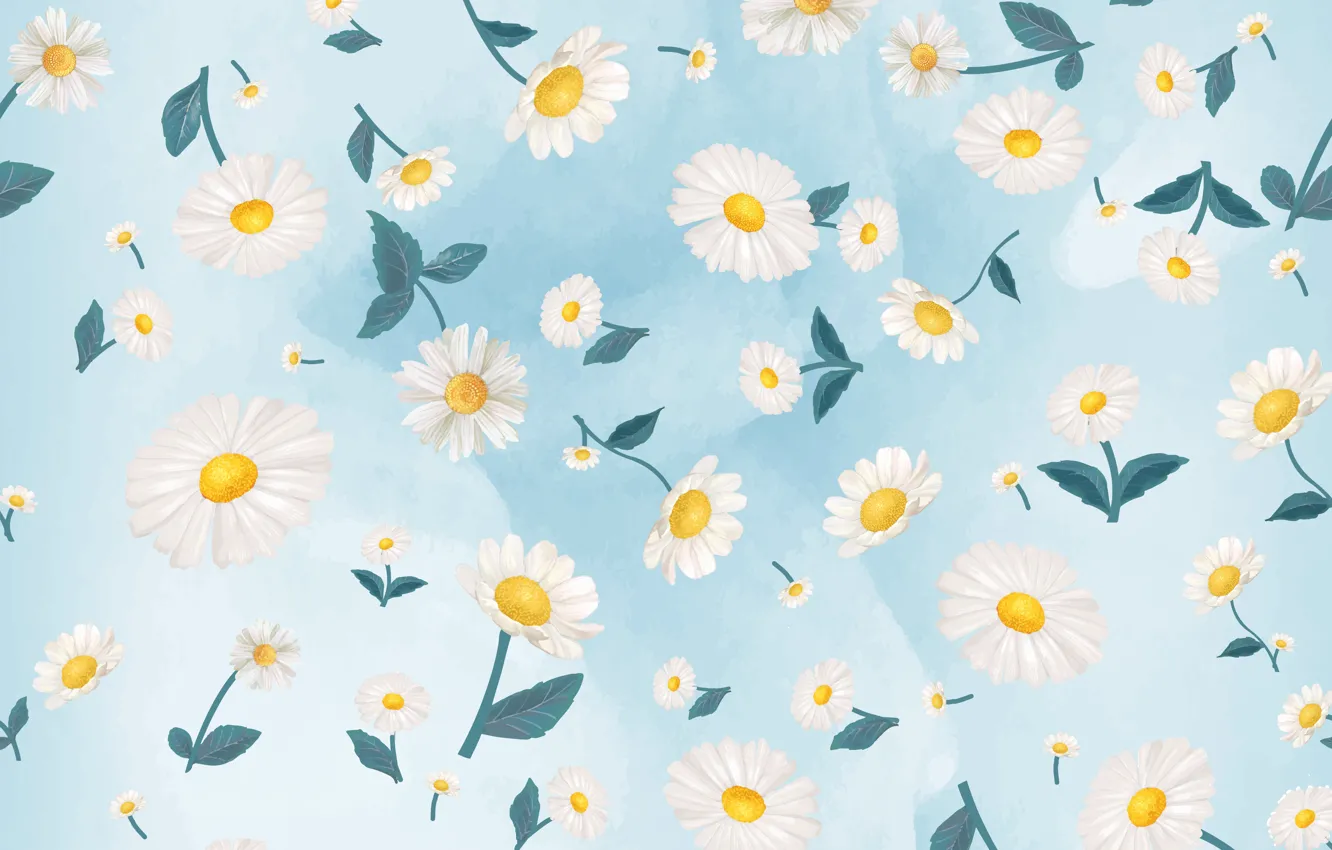 Photo wallpaper flowers, background, blue, chamomile, Colorful