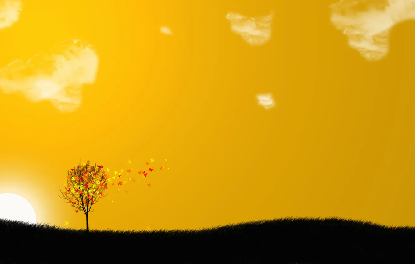 Photo wallpaper the sky, leaves, trees, orange