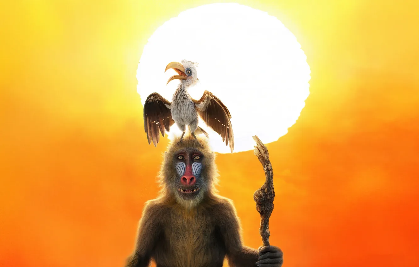 Photo wallpaper the sun, bird, monkey, MUFASA: THE LION KING