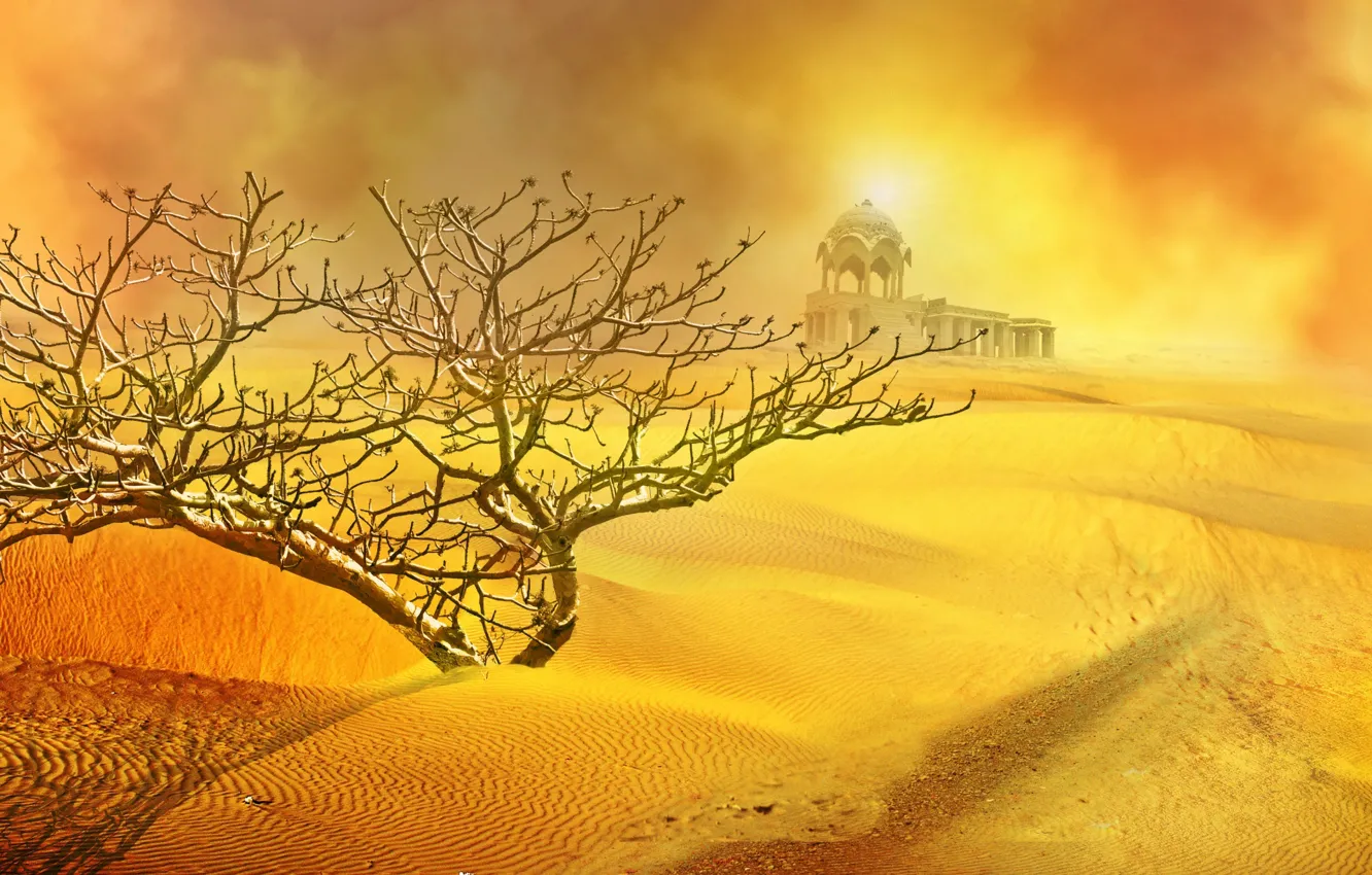 Photo wallpaper sand, the sun, desert, Bush, temple, sand storm