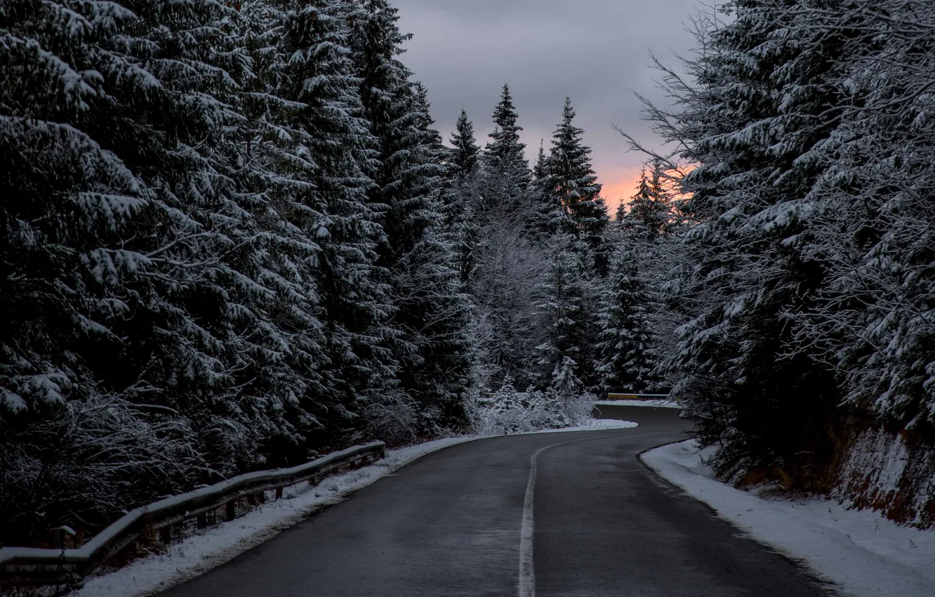 Photo wallpaper winter, road, forest, the sky, asphalt, clouds, snow, trees