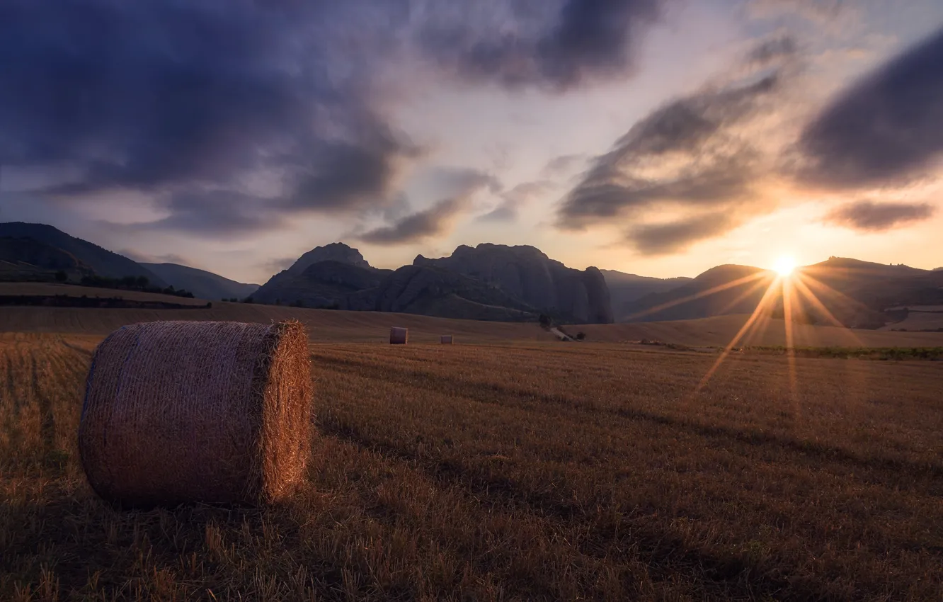 Photo wallpaper field, hay, Kip