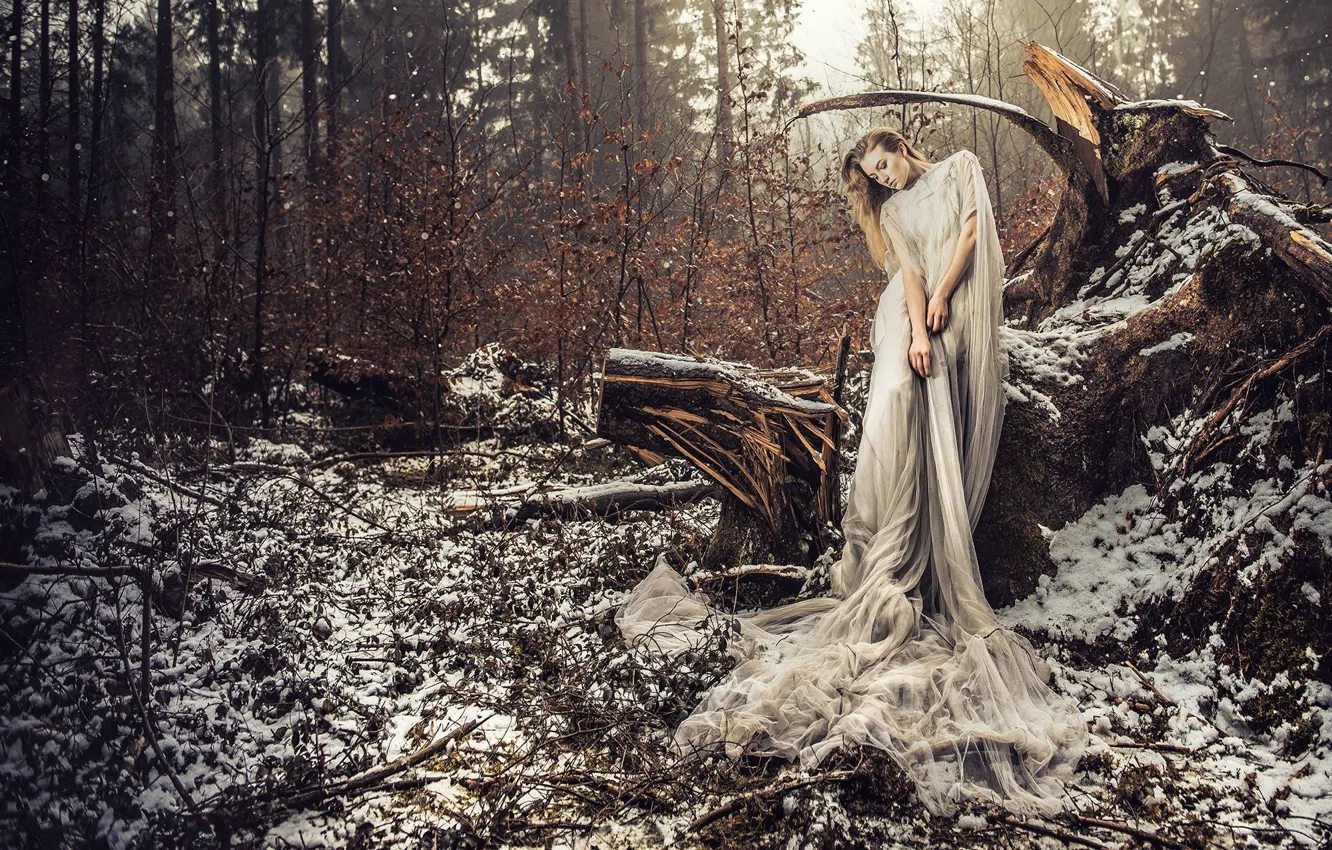Photo wallpaper forest, girl, snow, pose, the situation, dress, snag, VOODOO Wonderland