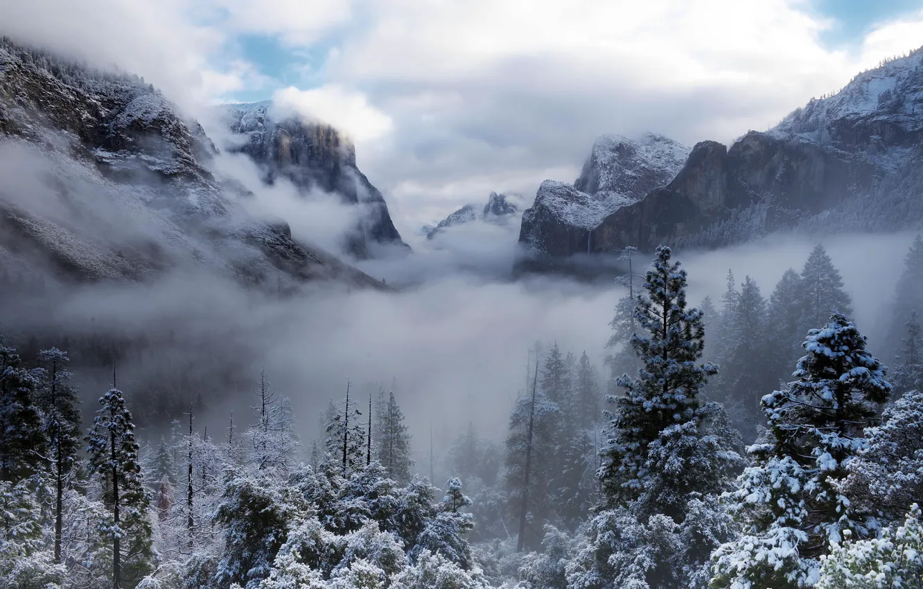 Photo wallpaper winter, forest, clouds, snow, trees, mountains, nature, fog