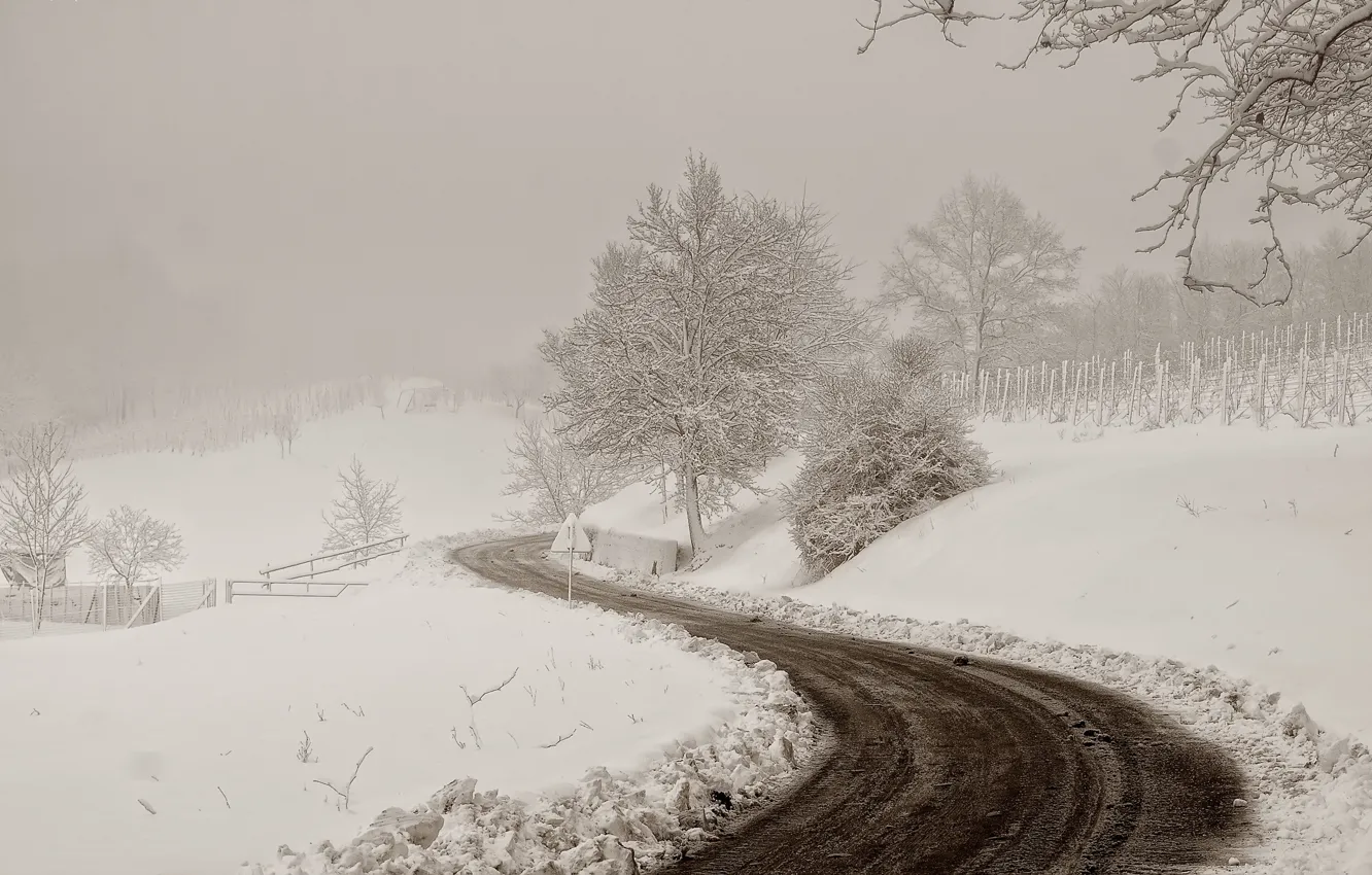 Photo wallpaper winter, road, snow, landscape