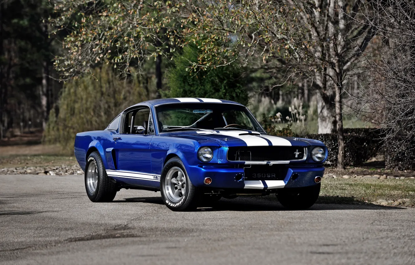 Photo wallpaper Mustang, Ford, Shelby, Mustang, Ford, Shelby, 1966, GT350R