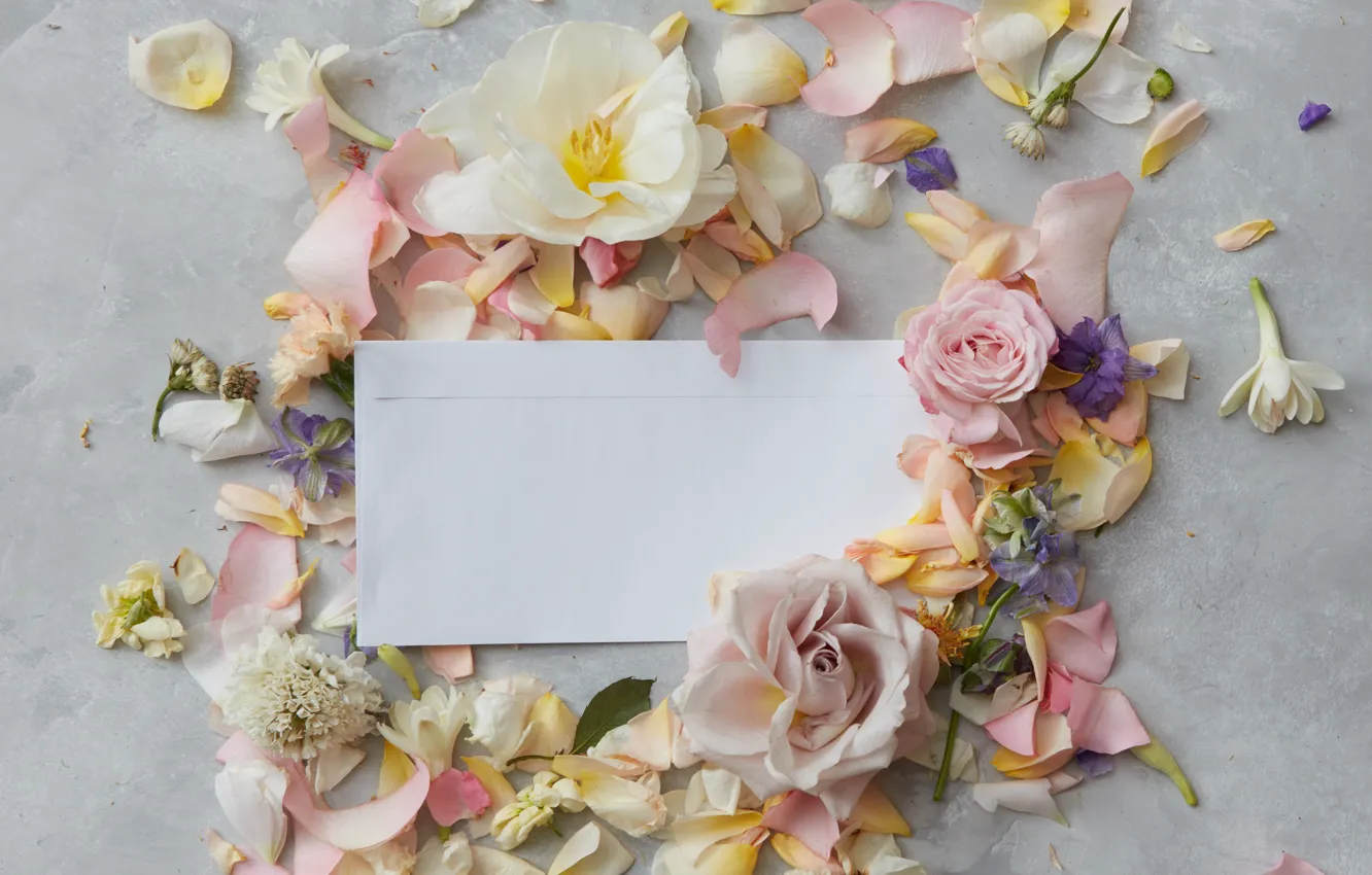 Photo wallpaper flowers, paper, flowers, backgrounds, card
