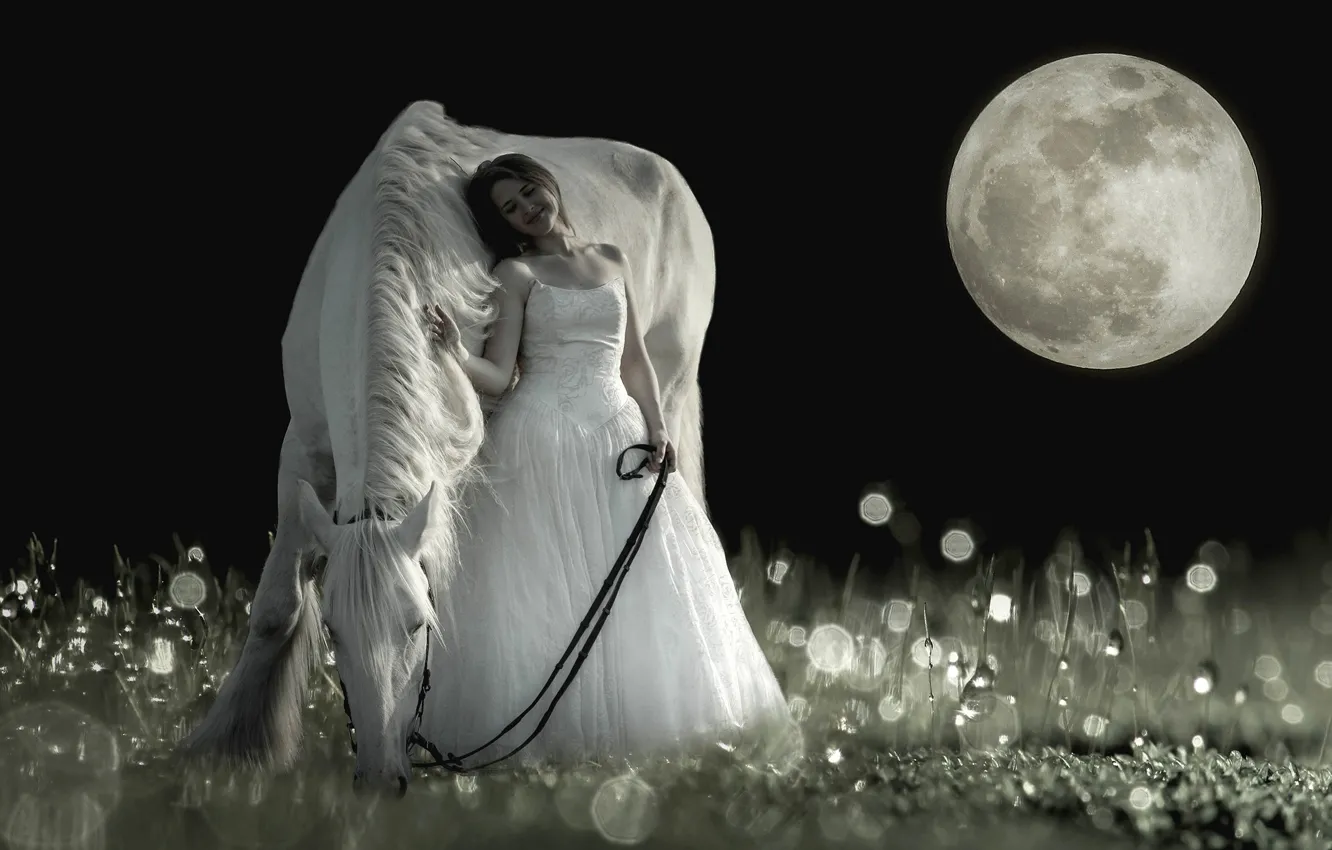 Photo wallpaper field, white, grass, girl, night, pose, smile, Rosa