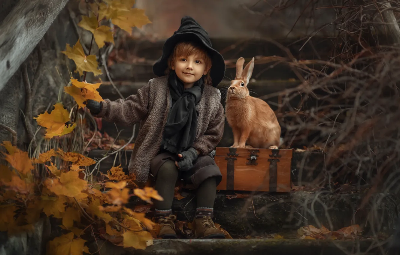 Photo wallpaper autumn, leaves, branches, nature, animal, boy, rabbit, ladder