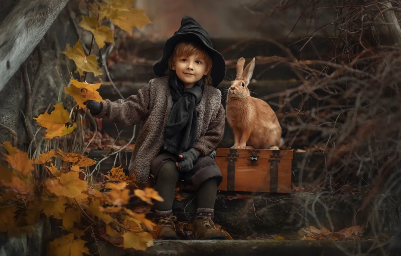 Photo wallpaper autumn, leaves, branches, nature, children, animal, boy, rabbit