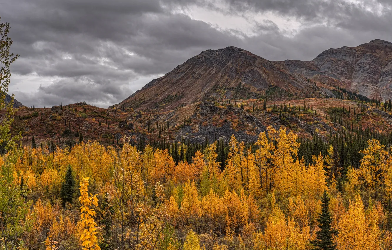 Photo wallpaper autumn, forest, the sky, clouds, trees, mountains, clouds, Canada