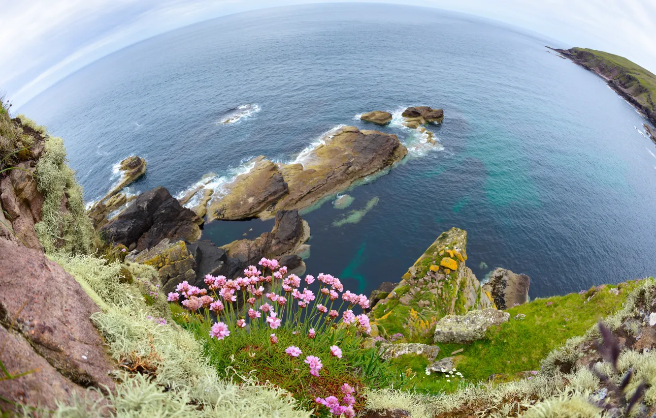 Photo wallpaper sea, flowers, rocks, distortion, slope, fisheye