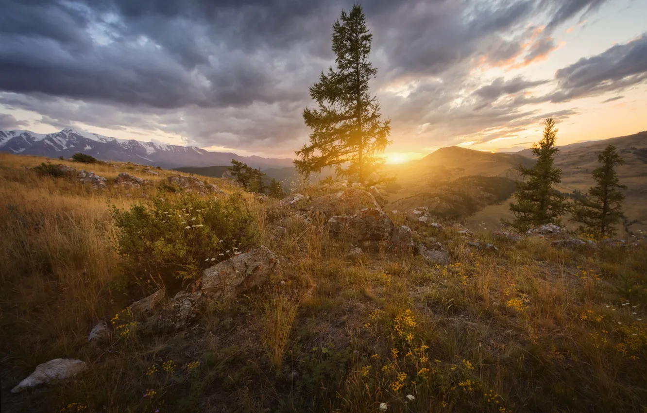 Photo wallpaper autumn, light, trees, mountains, stones, spruce