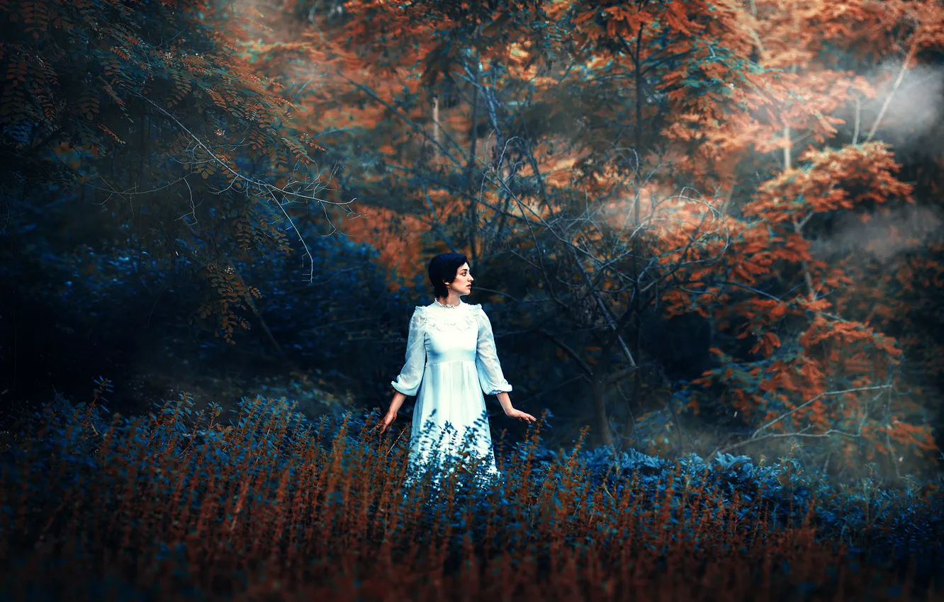 Photo wallpaper autumn, nature, dress, Ronny Garcia