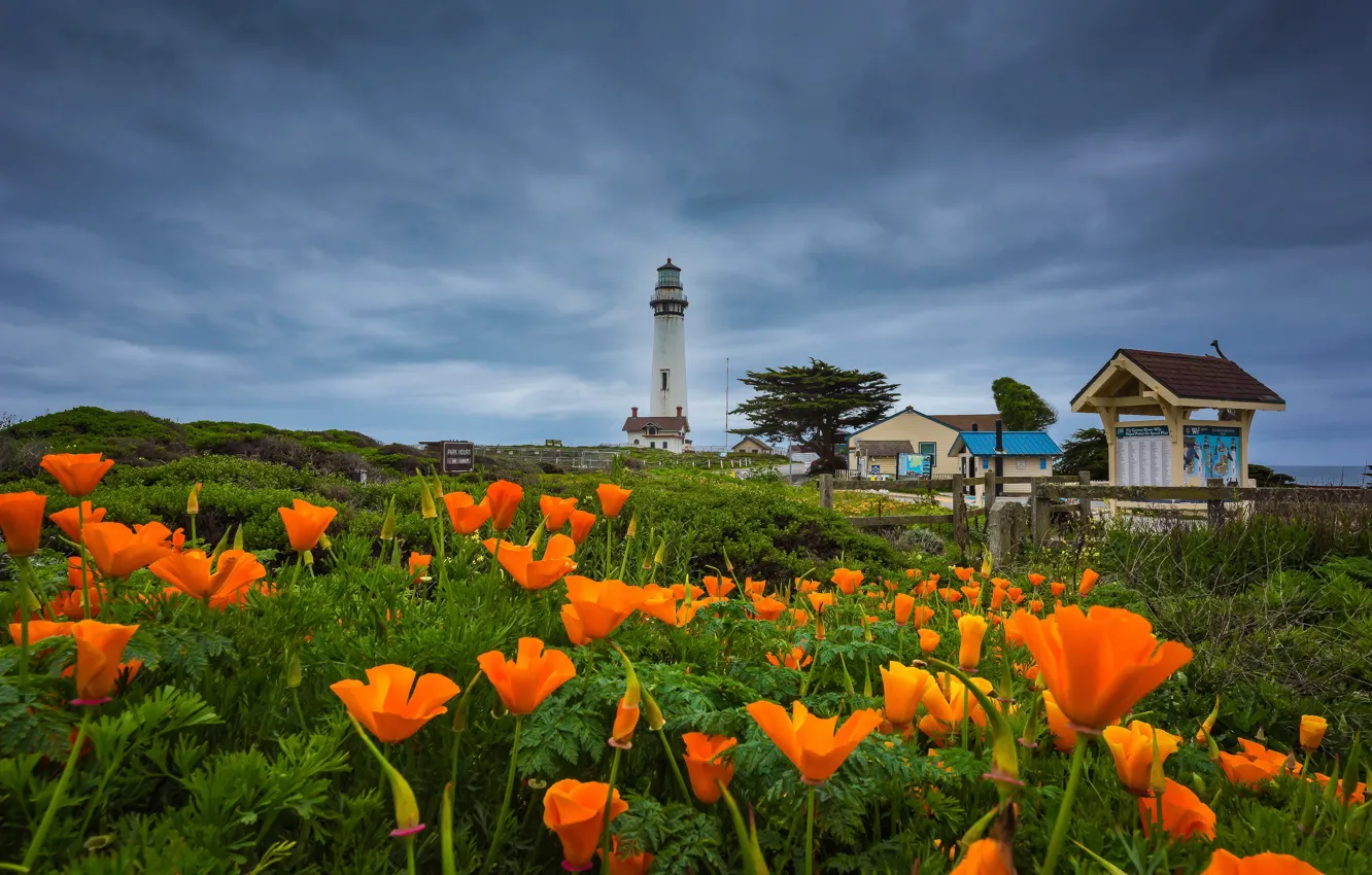 Photo wallpaper landscape, flowers, clouds, nature, the ocean, shore, lighthouse, CA