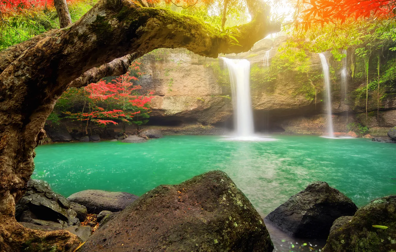 Photo wallpaper forest, trees, Park, stones, waterfall, Thailand, Suwat Waterfall, Khao Yai National Park