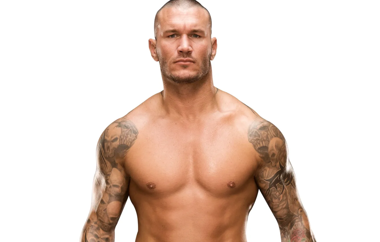 Photo wallpaper tattoo, snakes, tattoo, muscle, wrestler, WWE, Randy Orton, Randy Orton