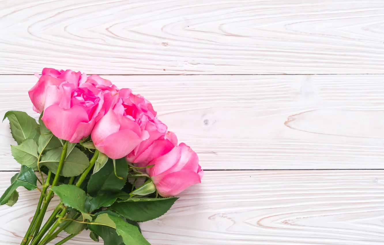 Photo wallpaper white, background, roses, bouquet, buds