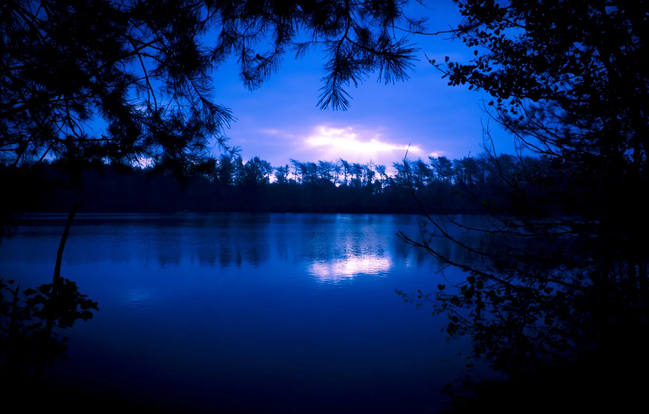 Photo wallpaper forest, the sky, clouds, trees, landscape, night, nature, lake