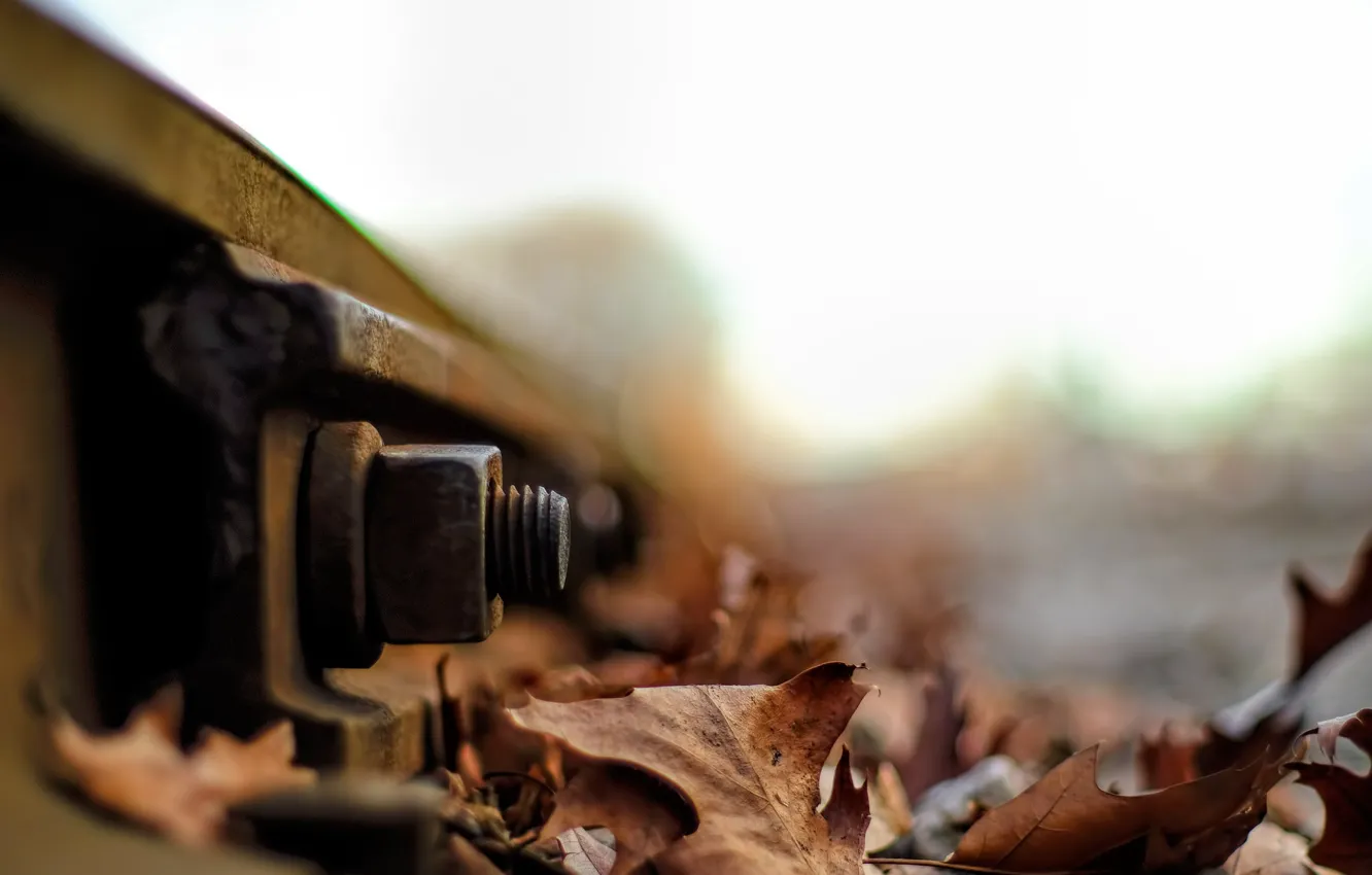 Photo wallpaper leaves, bolt, rails