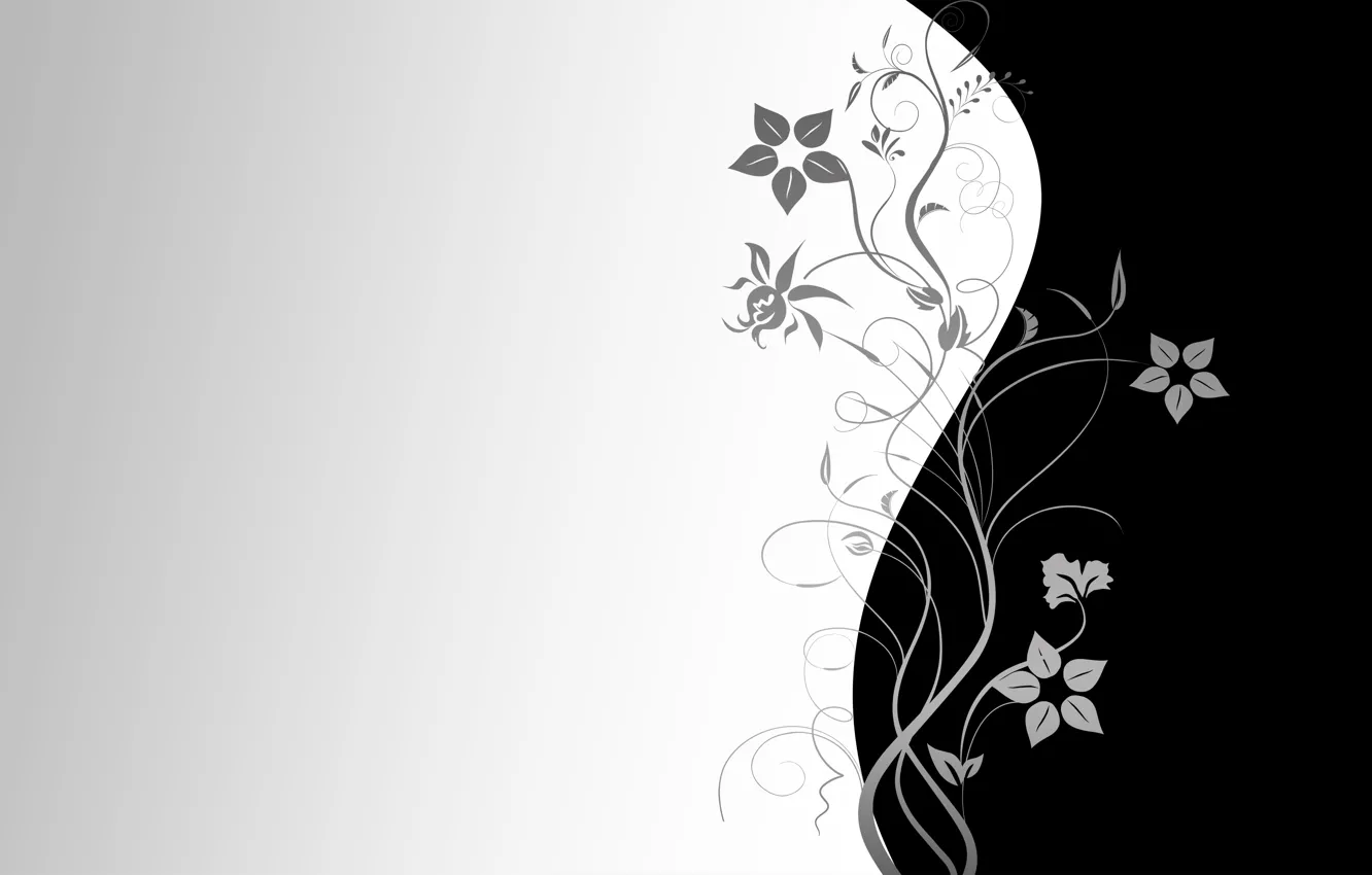 Photo wallpaper flowers, Wallpaper, pattern, vector, texture, wallpaper, black background, grey background