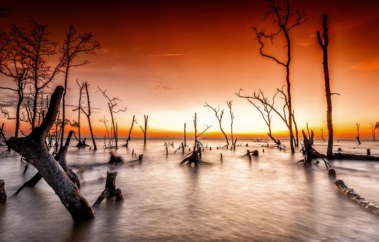 Photo wallpaper sea, sunset, nature