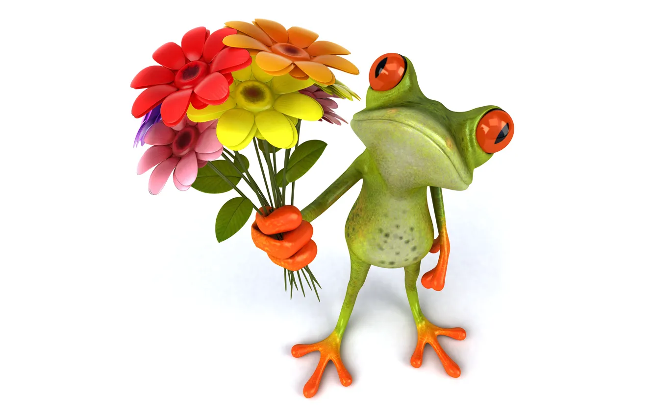 Photo wallpaper frog, frog, flowers, funny