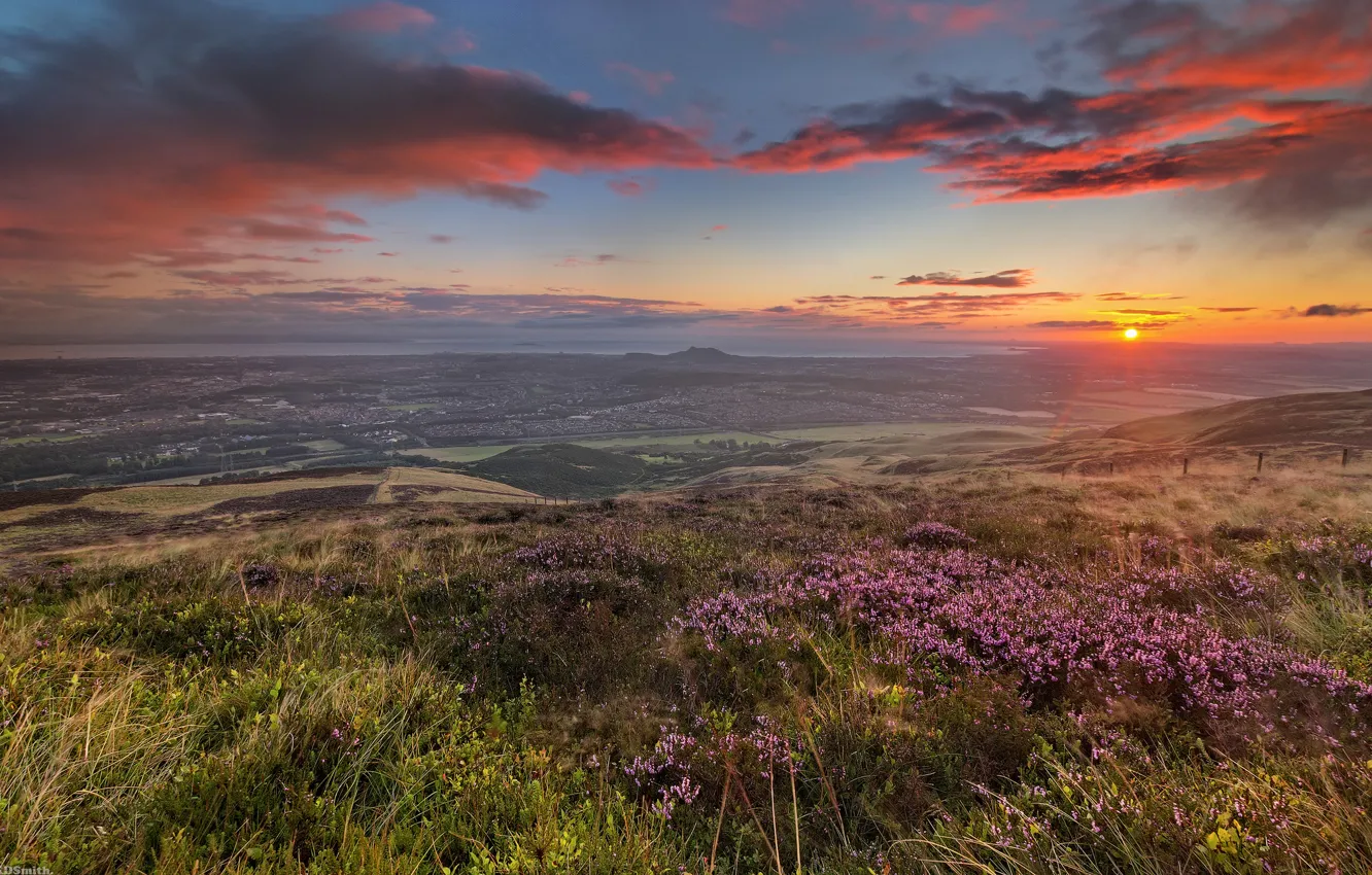 Photo wallpaper field, the sun, flowers, dawn, hills, coast