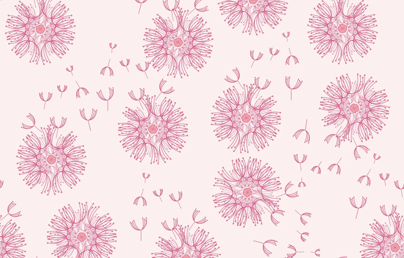 Photo wallpaper flowers, pink, Dandelion, pink, dandelion