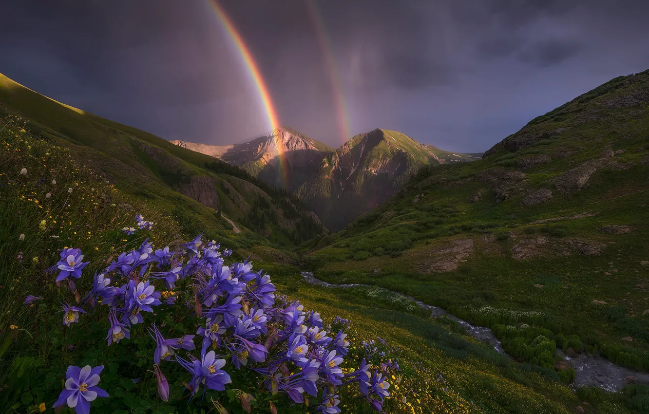 Photo wallpaper landscape, flowers, mountains, nature, stream, rainbow, valley, Colorado