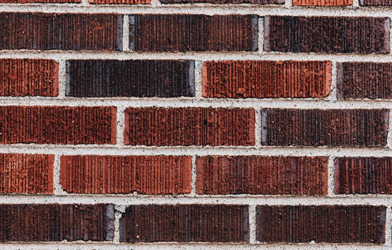 Photo wallpaper wall, texture, bricks