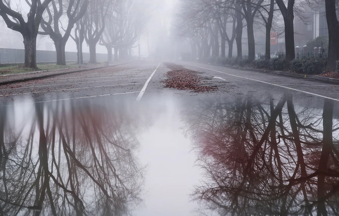Photo wallpaper the city, fog, street, puddle
