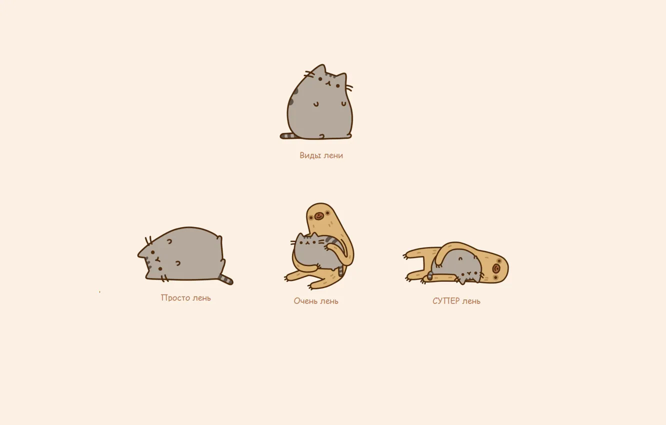 Photo wallpaper cat, mood, humor, sloth, laziness