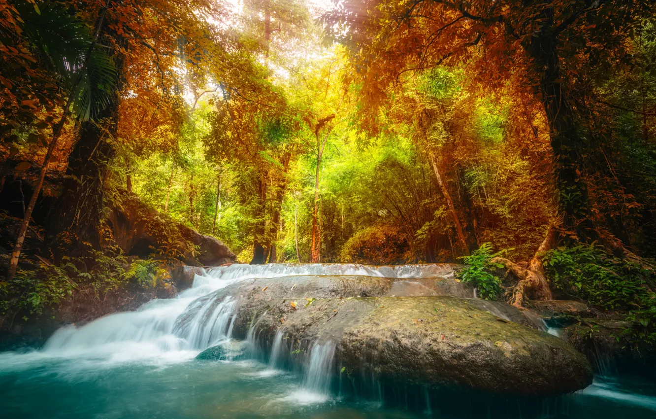 Photo wallpaper autumn, forest, landscape, river, rocks, waterfall, forest, river