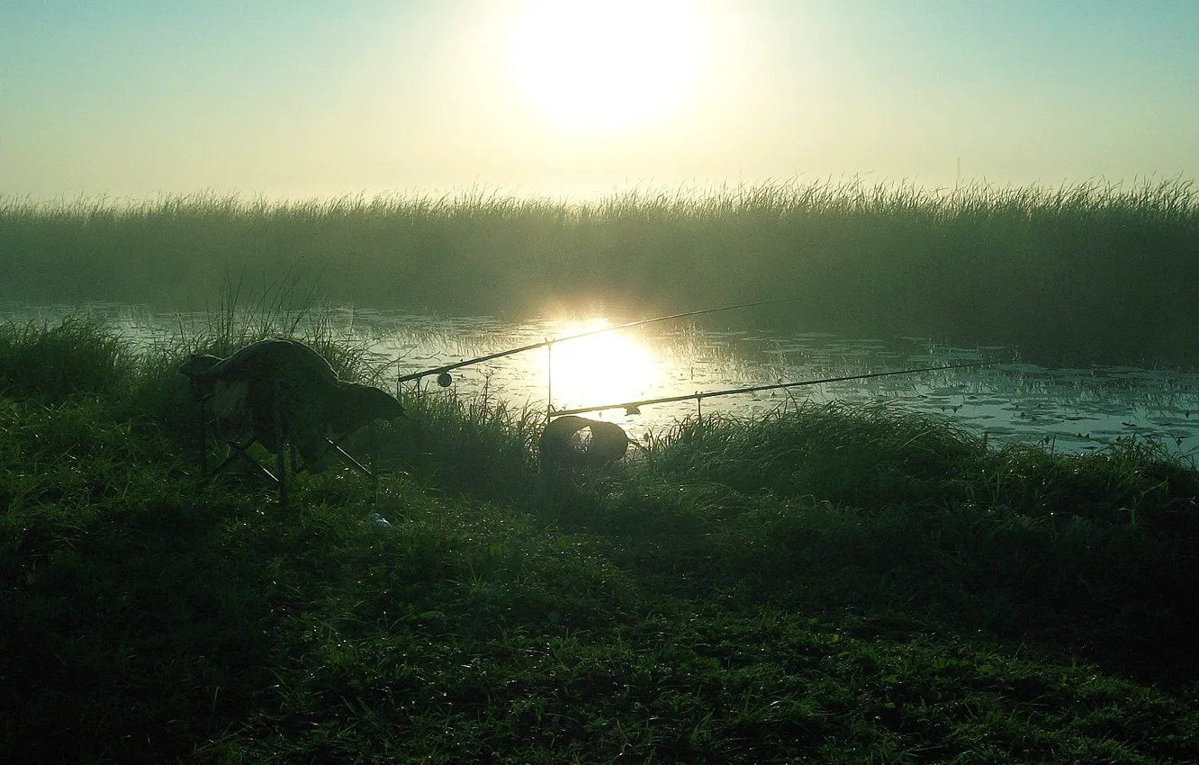 Photo wallpaper dawn, fishing, morning, River, reed, fishing rods, dawn, Siberia