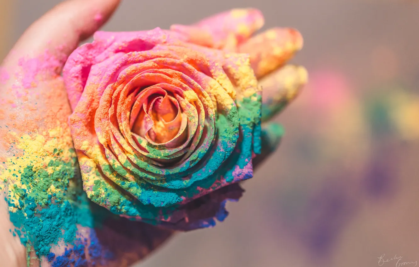 Photo wallpaper flowers, colored, hands