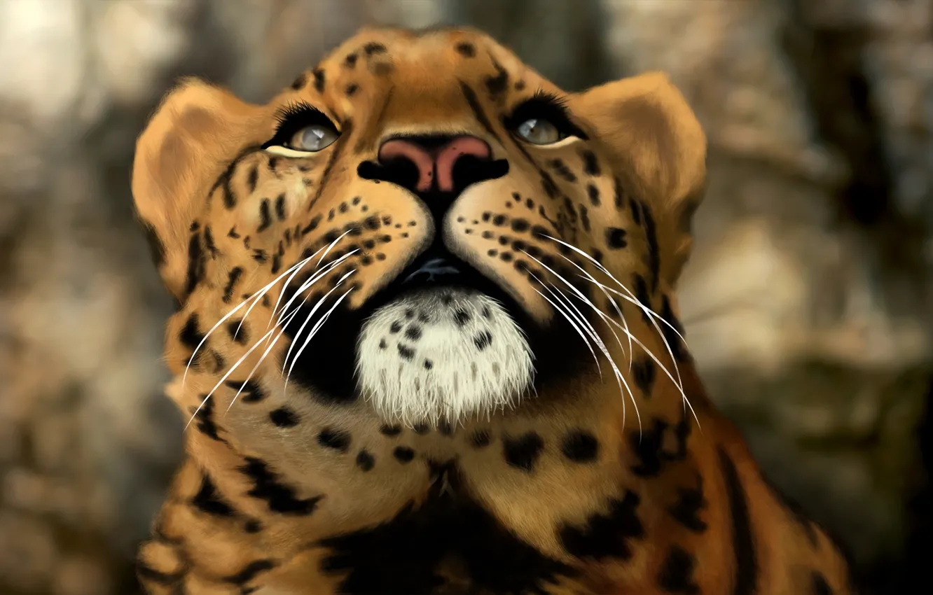 Photo wallpaper cat, face, predator, head, art, leopard, wild