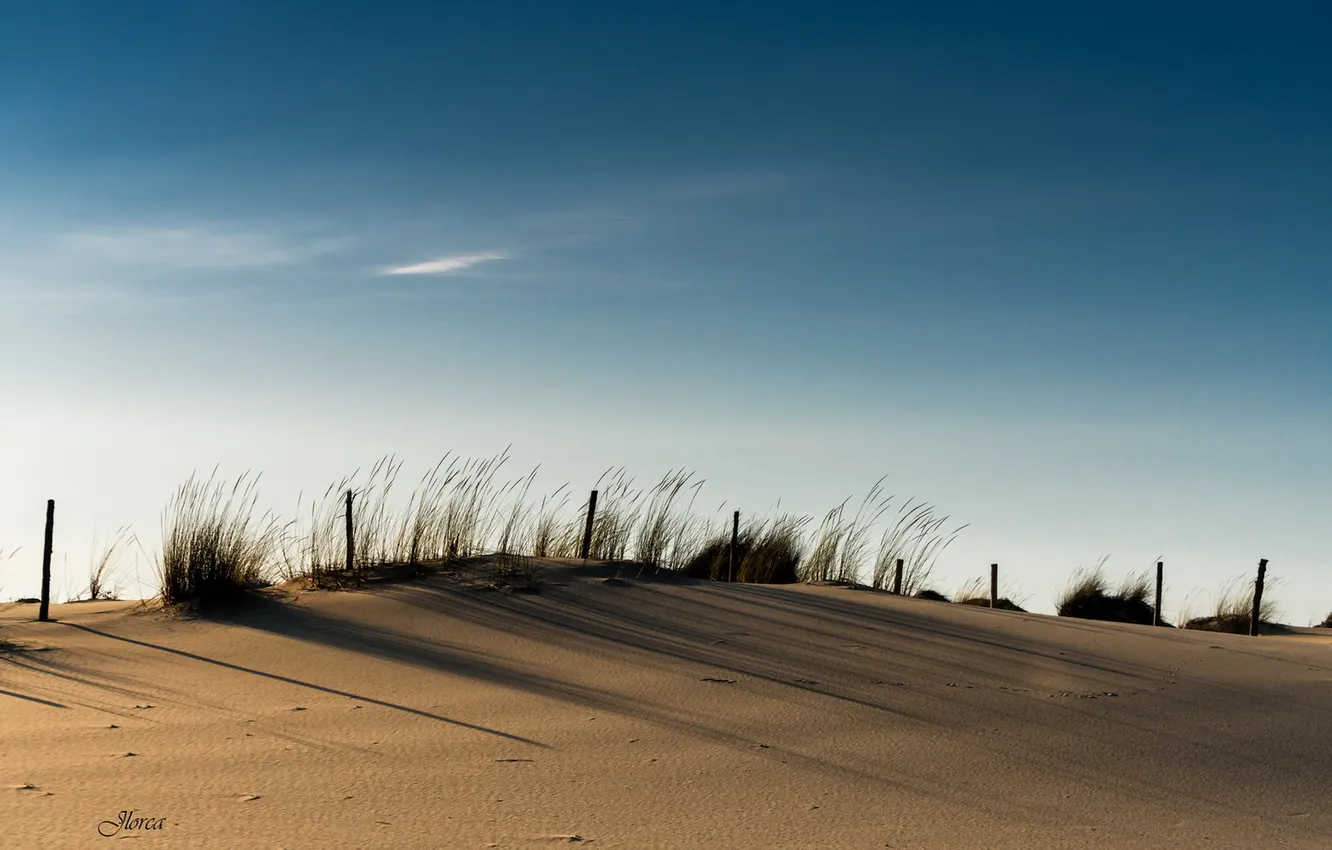 Photo wallpaper the sky, landscape, dunes