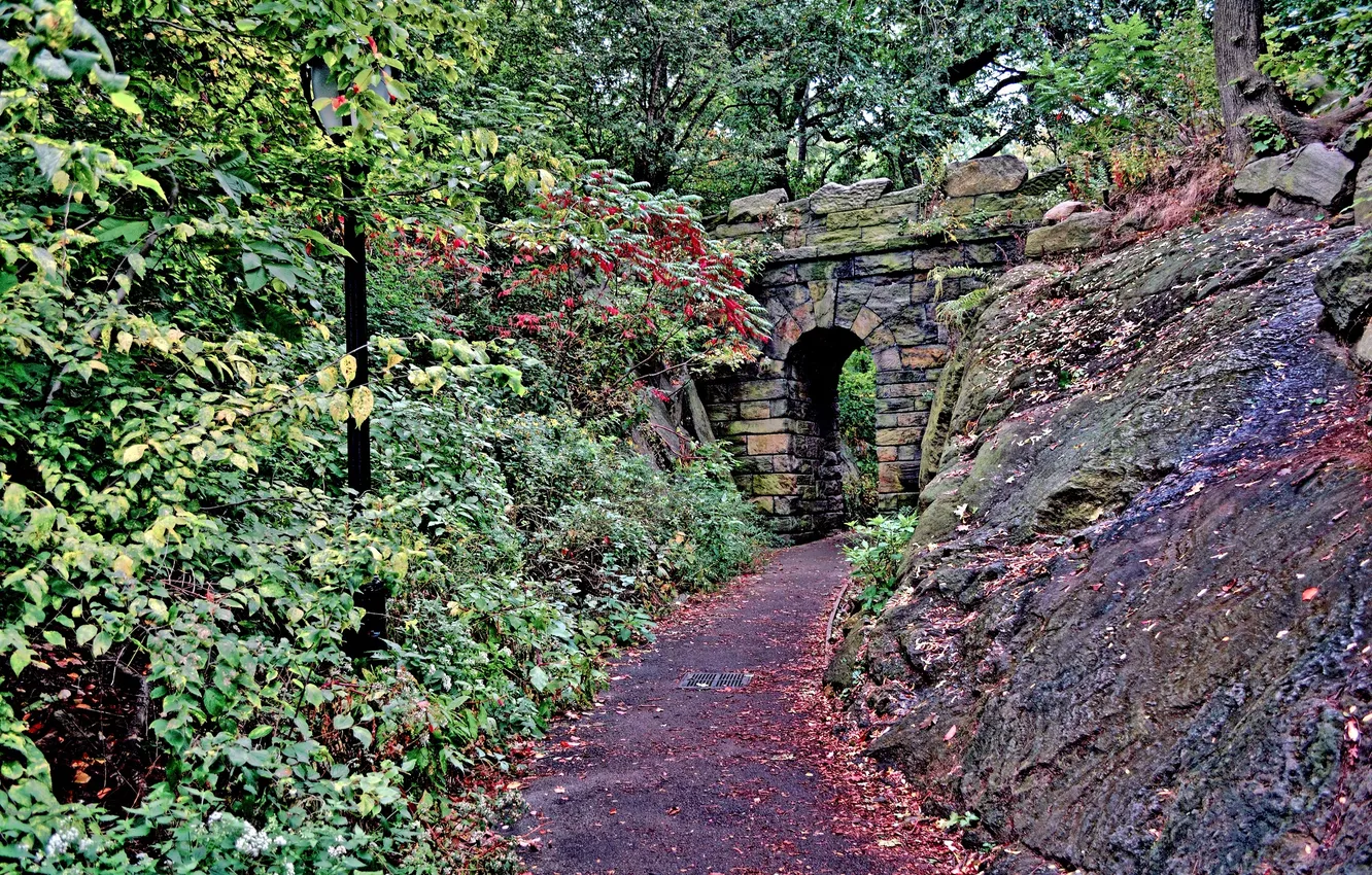 Photo wallpaper autumn, trees, bridge, foliage, New York, track, arch, Central Park