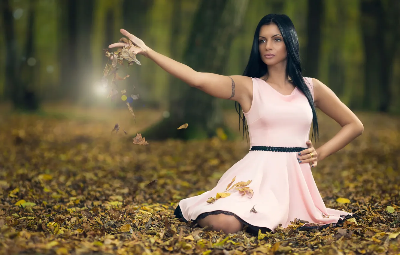 Photo wallpaper autumn, forest, leaves, dress, Paola
