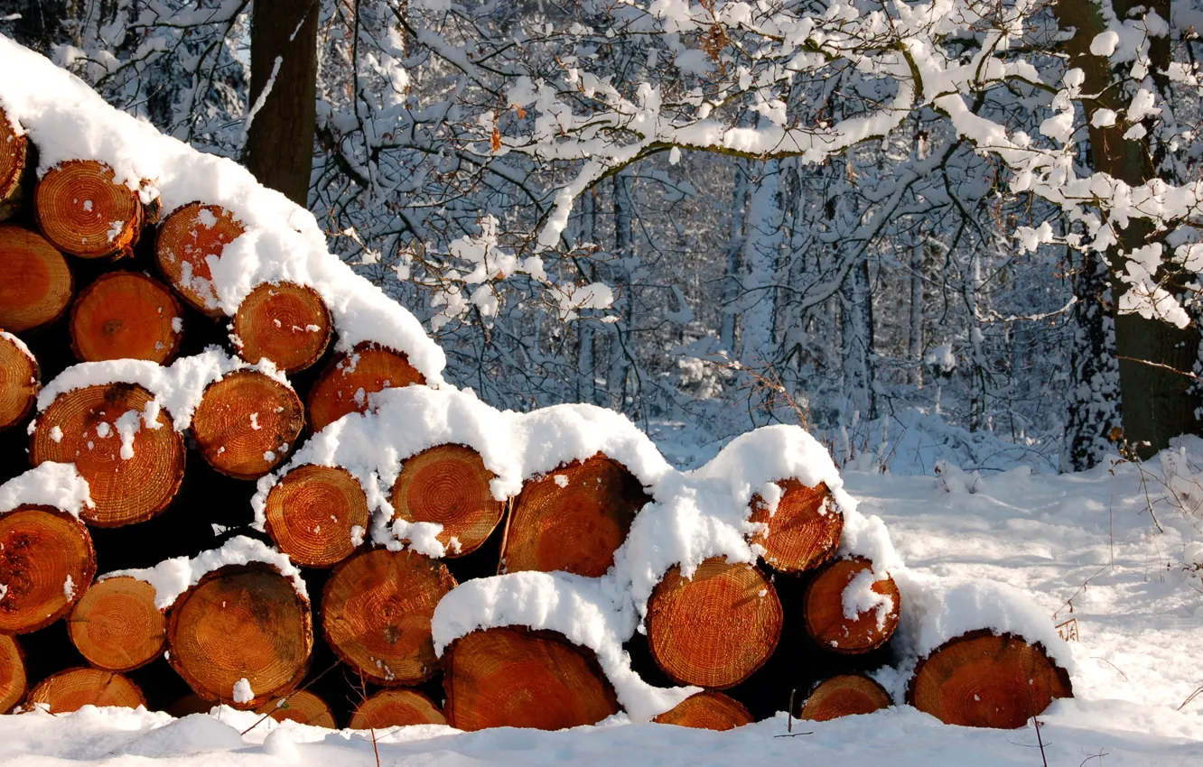 Photo wallpaper snow, logs, winter forest
