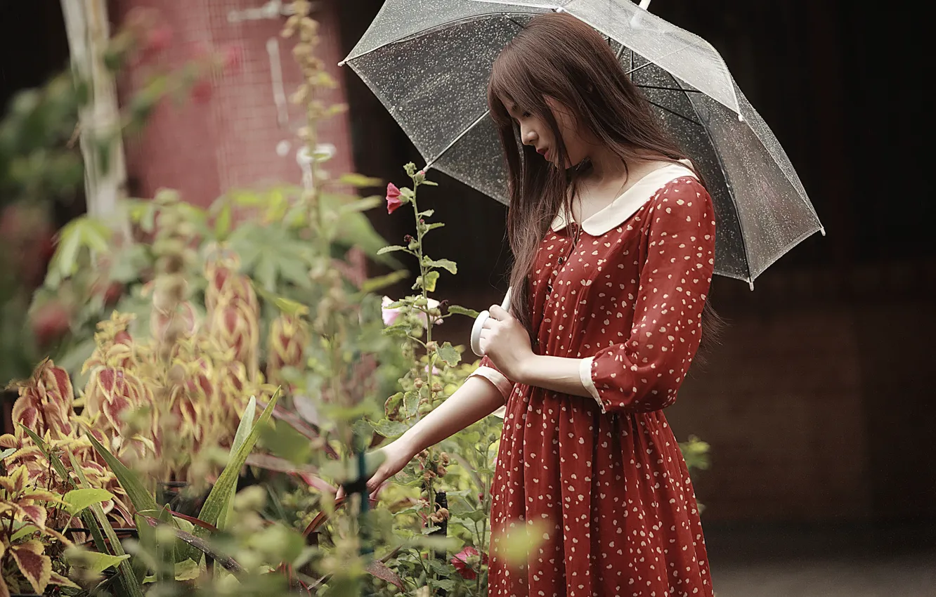 Photo wallpaper girl, face, umbrella, rain, hair, dress