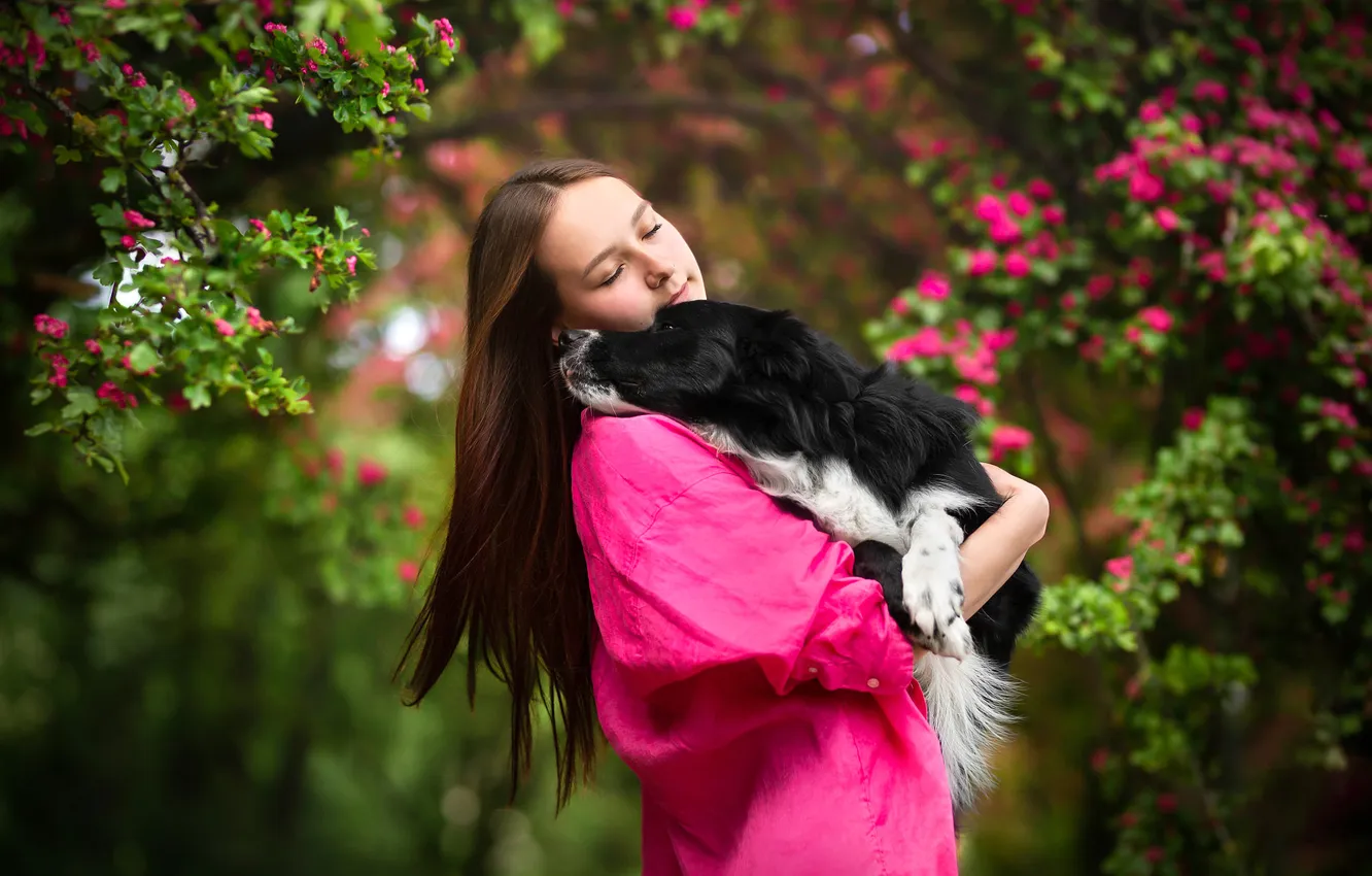 Photo wallpaper girl, flowers, branches, pose, mood, dog, spring, garden
