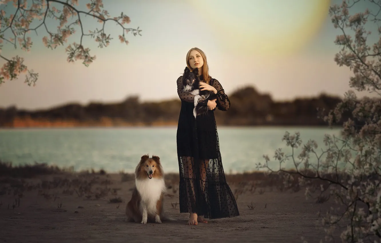 Photo wallpaper dogs, girl, nature