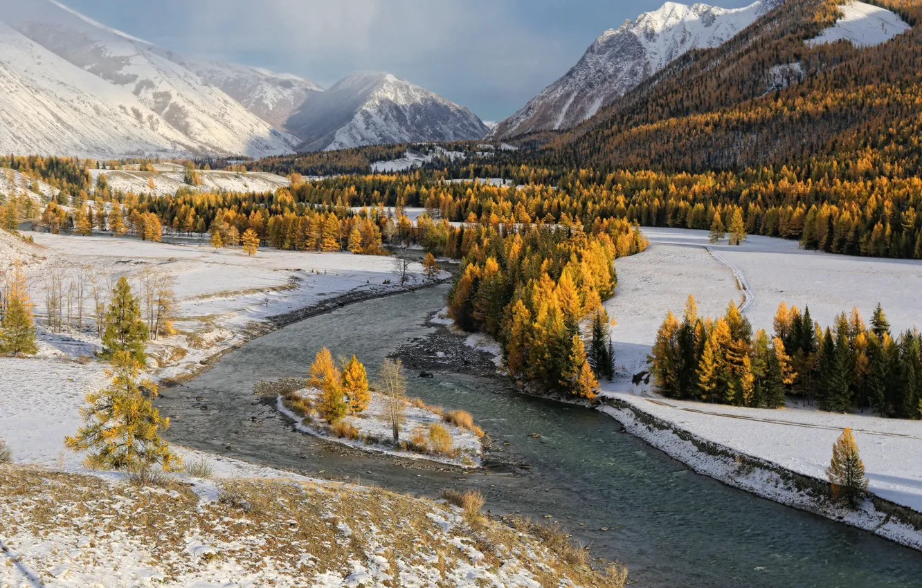 Photo wallpaper river, trees, winter, snow, stones