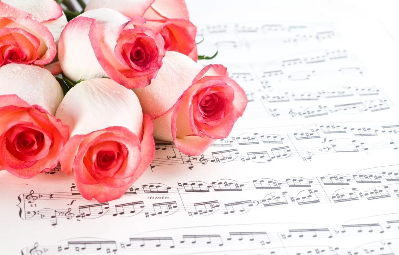 Photo wallpaper flowers, notes, roses, pink, buds