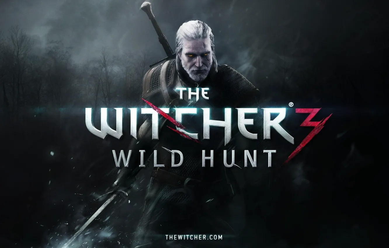 Photo wallpaper forest, weapons, the game, armor, game, poster, character, The Witcher 3