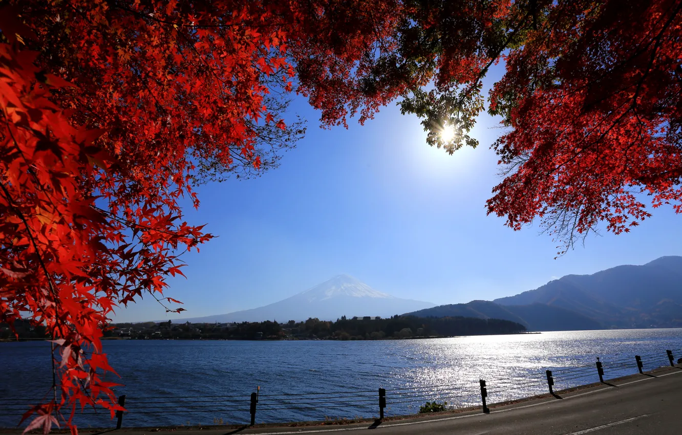 Photo wallpaper road, leaves, mountains, branches, river, Japan, Mount Fuji, Fuji